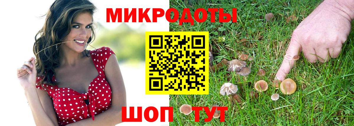 Галлюциногенные грибы мухоморы Архангельск